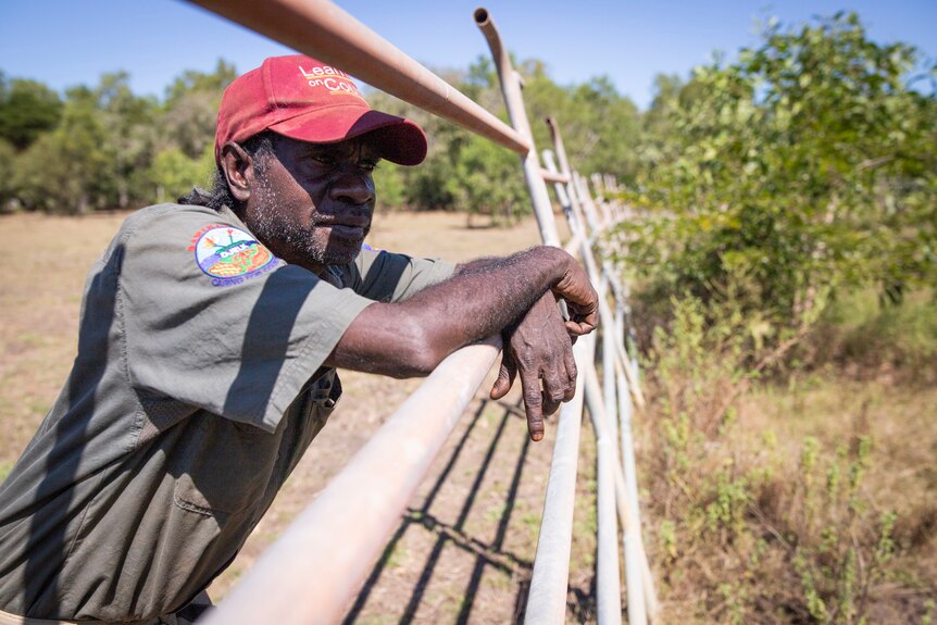 An Aboriginal ranger leans on a metal fence, inside which grass and vegetation grows thicker and healthier.