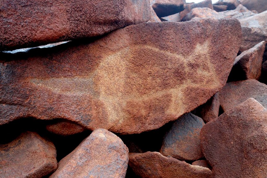 Tasmanian tiger rock carving