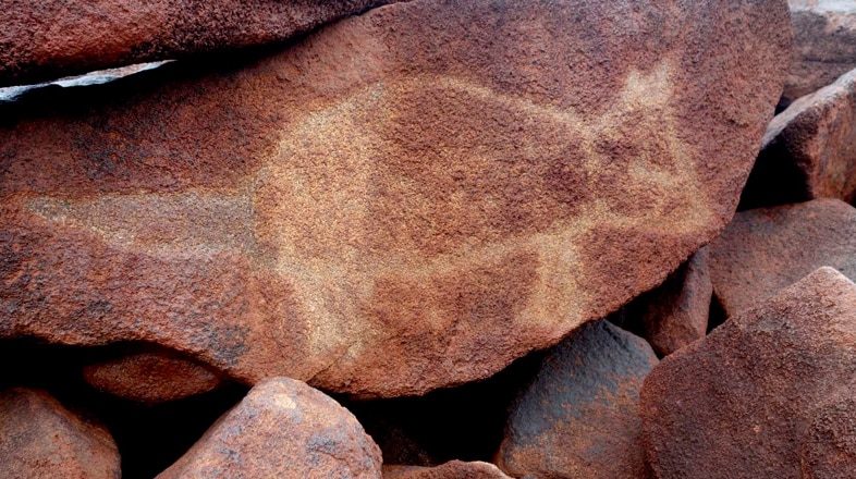 This rock carving of a Tasmanian devil on WA's Burrup Peninsula is estimated as 5000 to 10,000 years old, during which time the animal lived on the mainland.