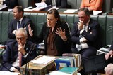 Kelly O'Dwyer addresses the House of Reps during Question Time