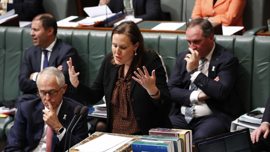 Kelly O'Dwyer addresses the House of Reps during Question Time