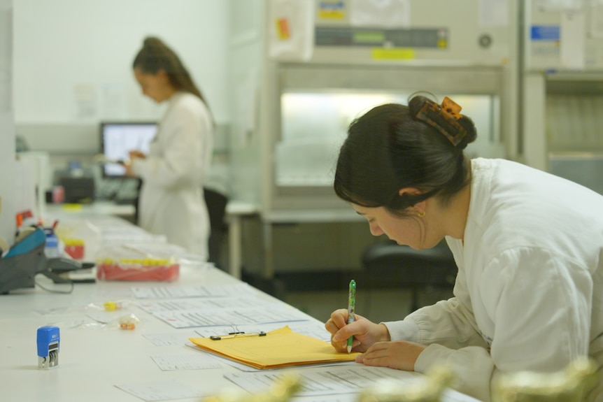 Scientists going through specimens to check for avian flu.