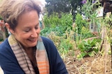 Chef Alice Waters visits Collingwood College's Kitchen Garden centre