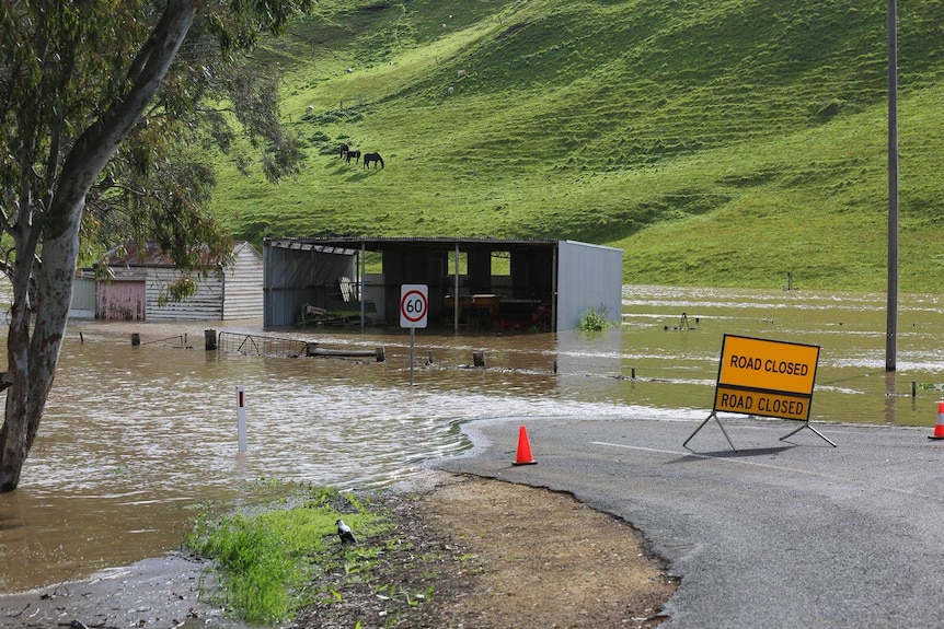 Floodwaters at Casterton