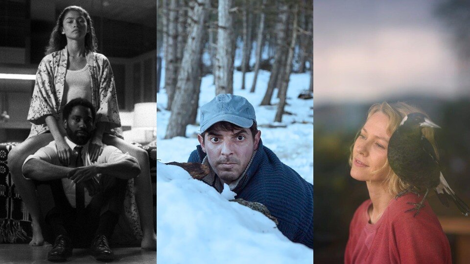 Euphoria's Sam Levinson, a French thriller and Naomi Watts