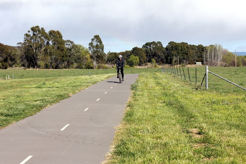Cycle tracks at Jerrabomberra Wetlands