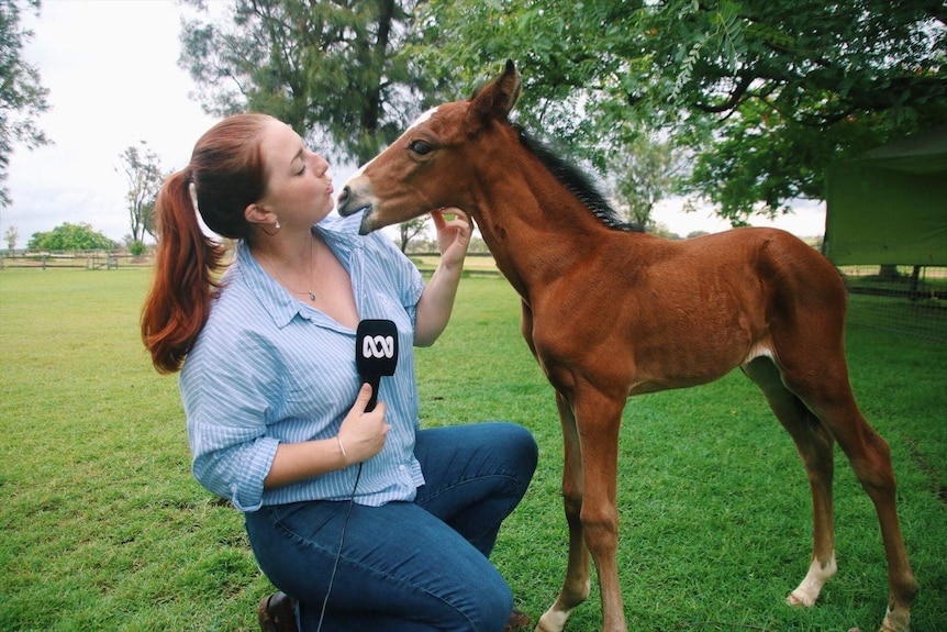 A reporter interviewing a baby horse.