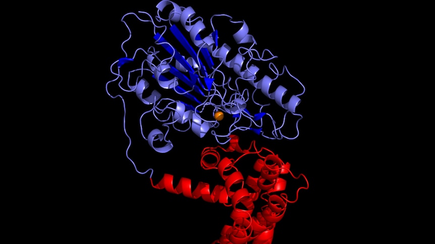 A 3d computer generated representation of the EptA protein structure that researchers hope will help fight superbugs.