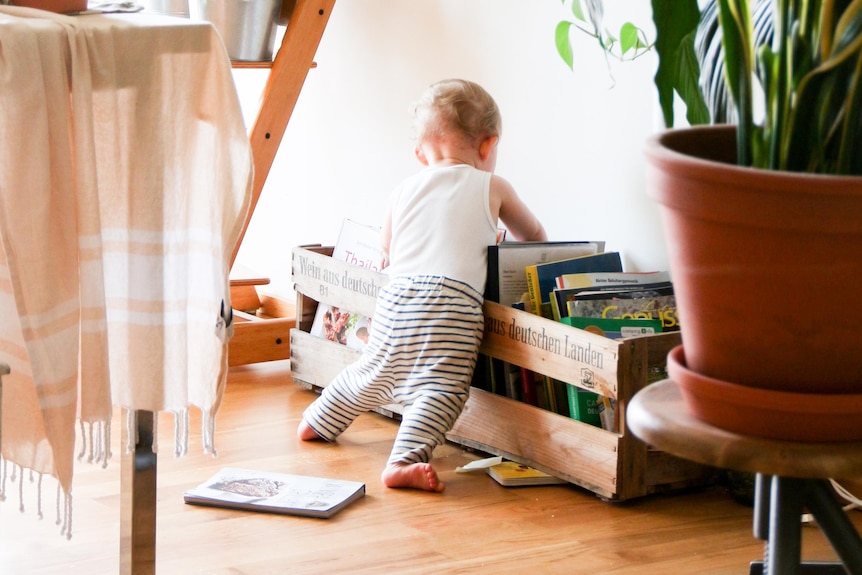 A small toddler is seen from behind as they pull books out of a box and drop them on the floor.