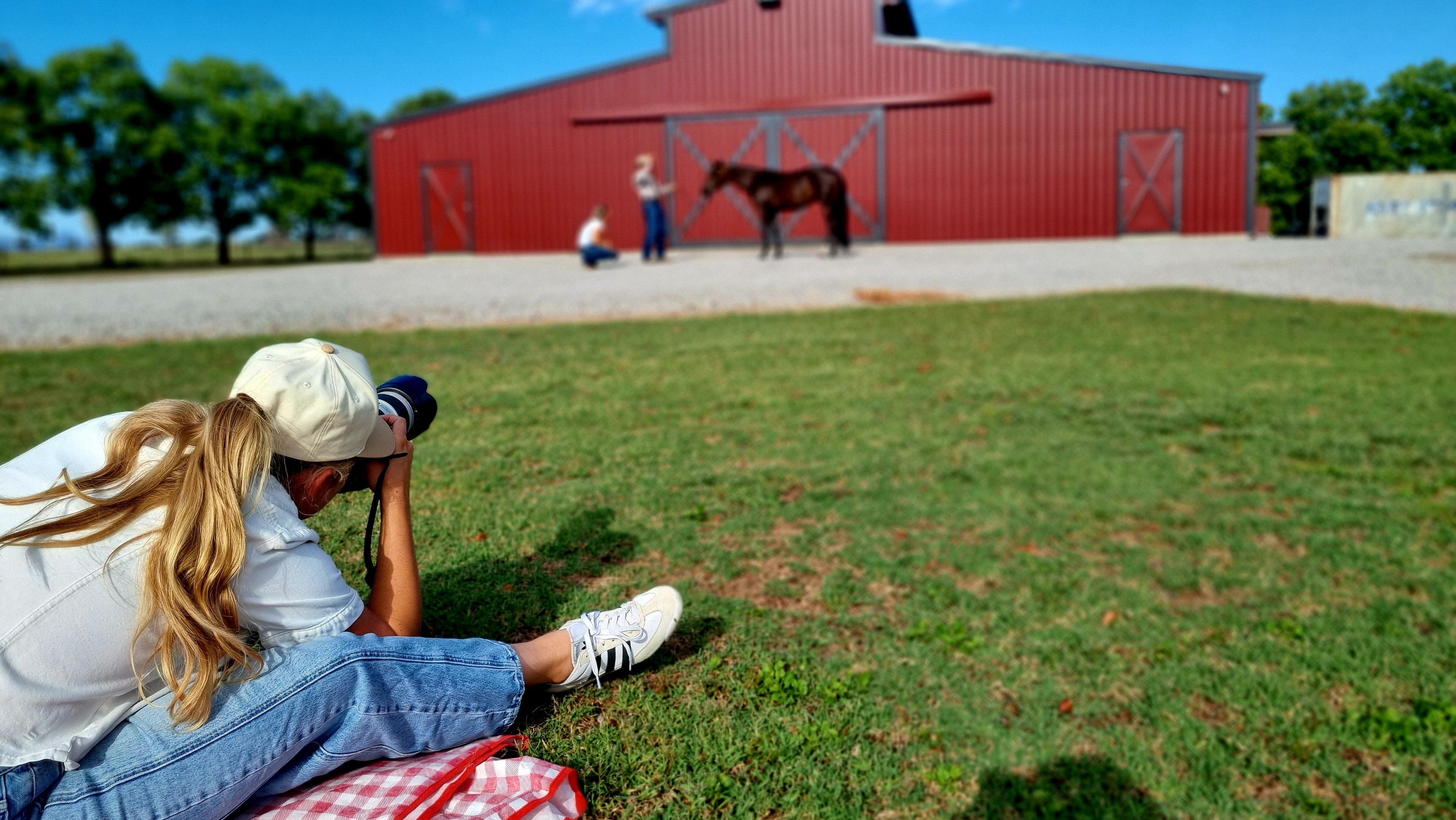 Uma mulher sentada no chão, tirando a fotografia de um cavalo.