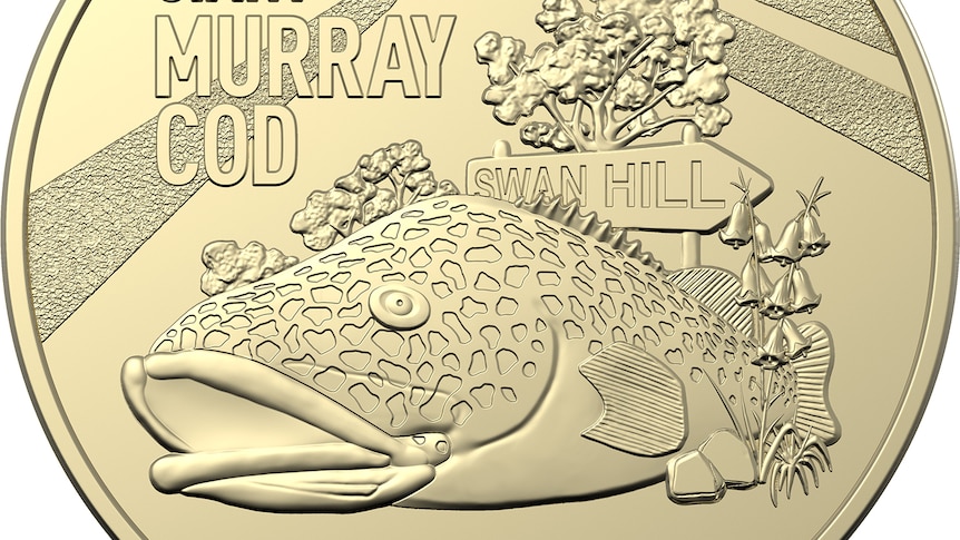 Image of a collectible one dollar coin featuring a large Murray Cod fish.