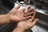 Close up of two hands, palms facing upward, under a tap with running water in a sink.