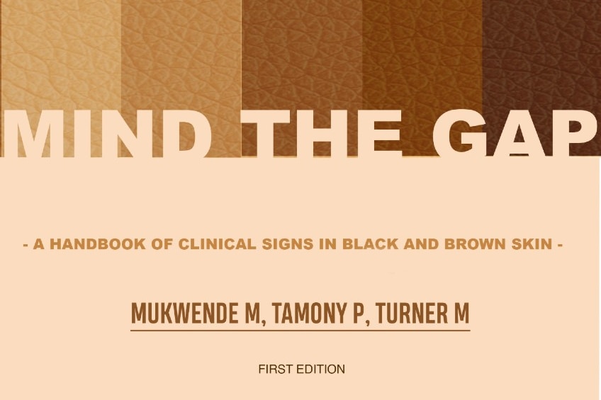 The cover of an ebook called "Mind the Gap" which shows a range of fair to dark skin.