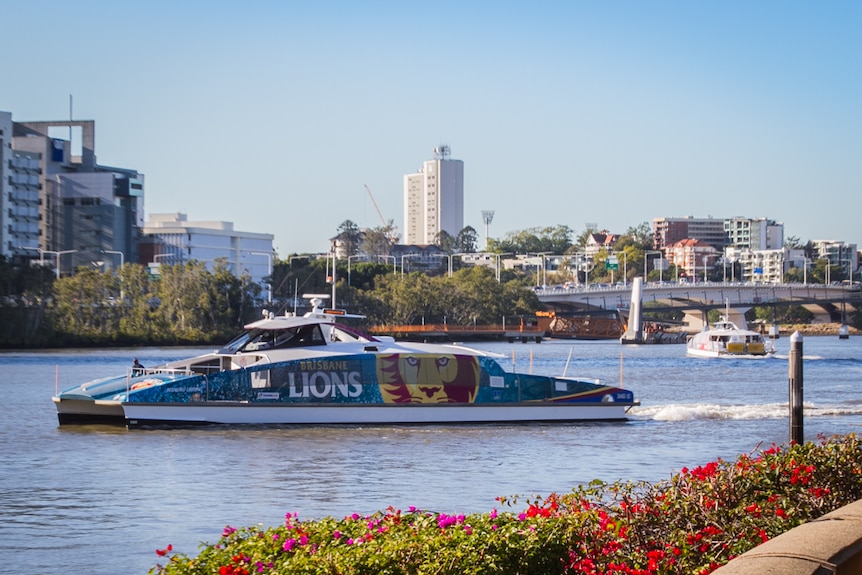 CityCats moving up and down the Brisbane River past the QUT stop.