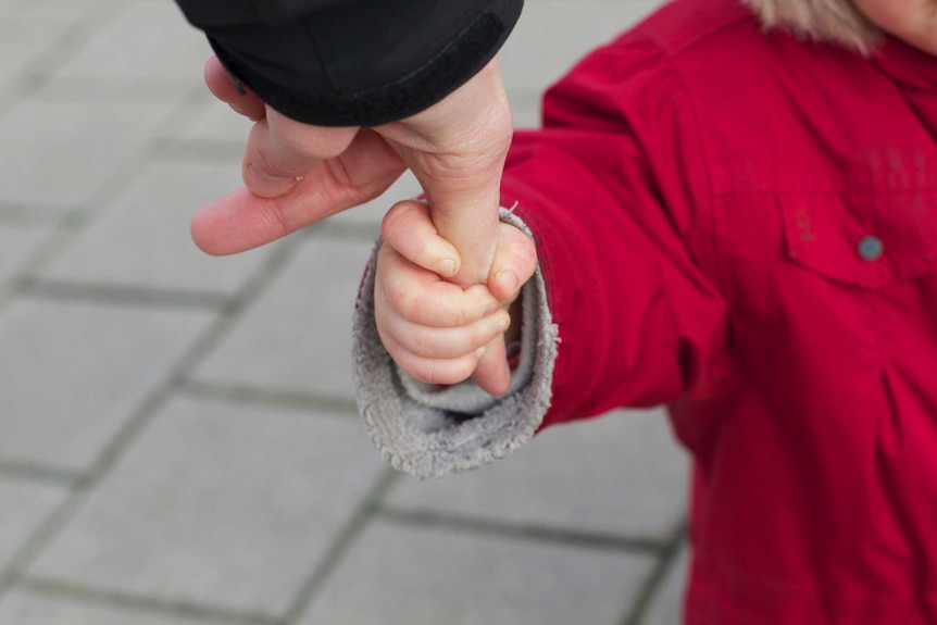 Child holding hand