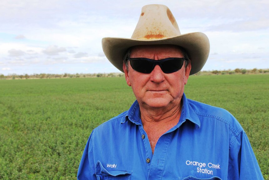 A close profile shot of Wally Klein standing in a lucerne field wearing an Akubra hat and black sunglasses