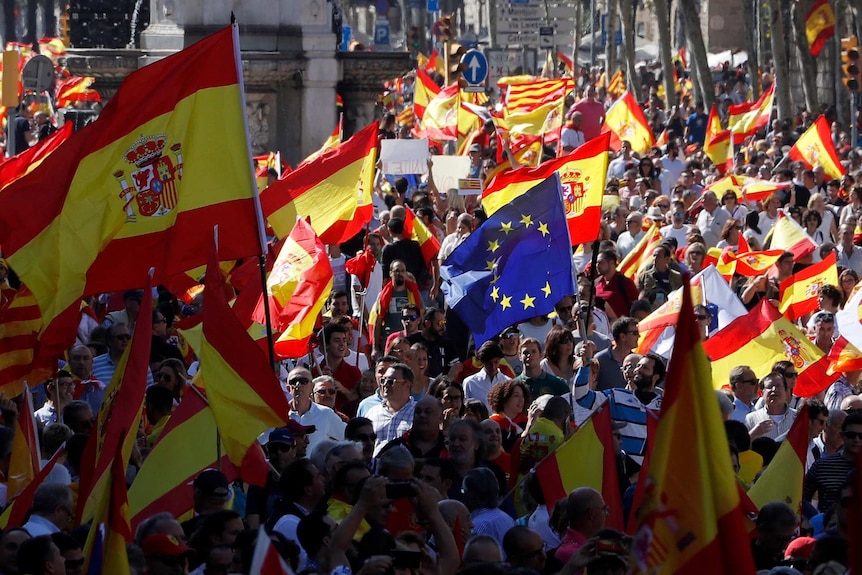 A sea of flags are held up by demonstrators as they walk down a street in Barcelona