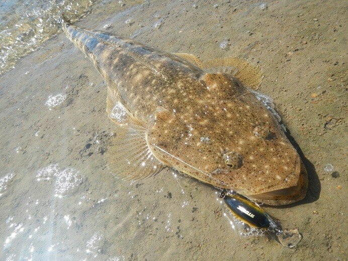 The Fishing Report - ABC listen