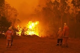 Firefighters look on at a gold blaze burns in the trees