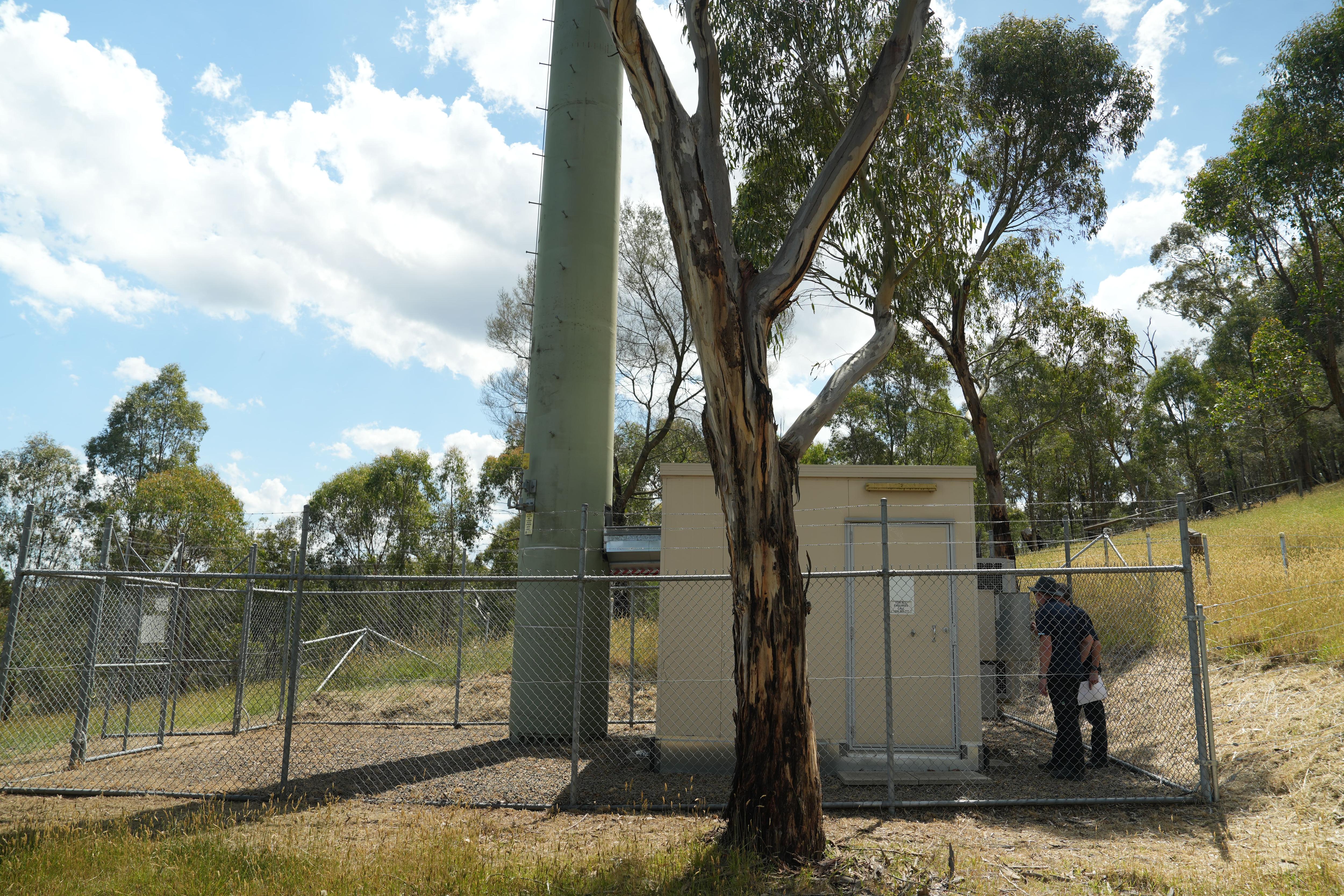 An Optus phone tower surrounded by the bush.