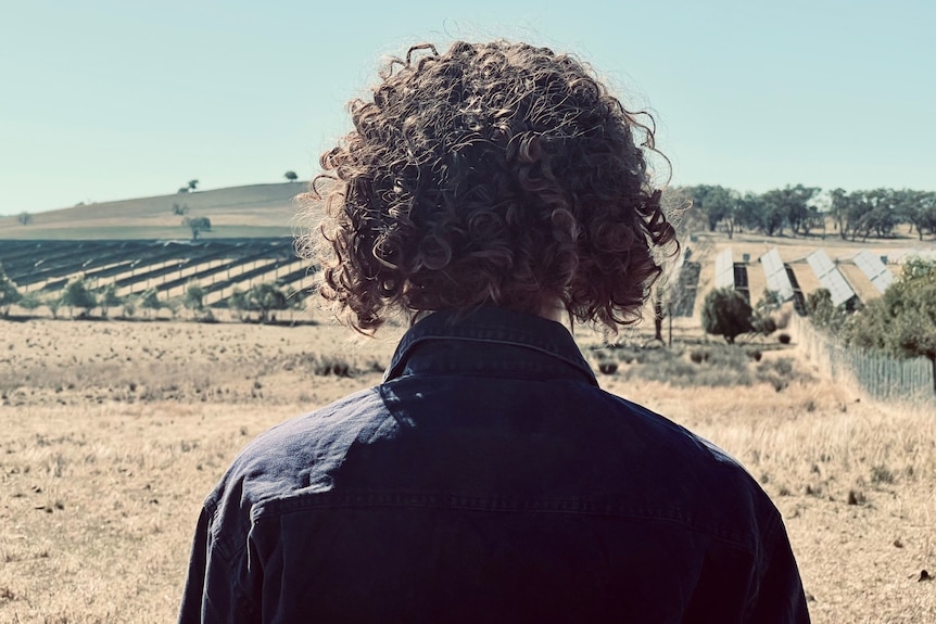 A generic photo of an unidentified backpacker looking towards a solar farm.