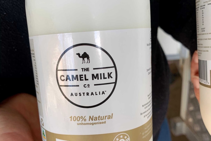 camel milk