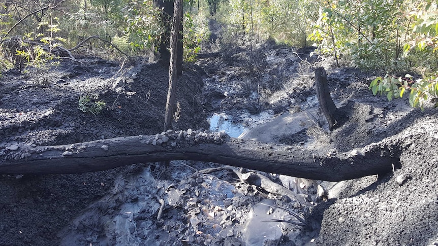 Lithgow pollution downstream