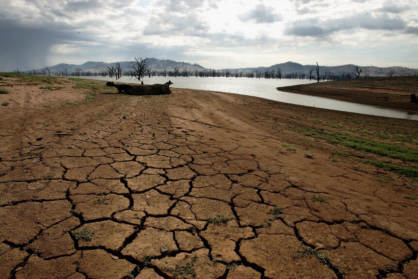 Murray-Darling Basin in crisis (Getty Images: Robert Cianflone)