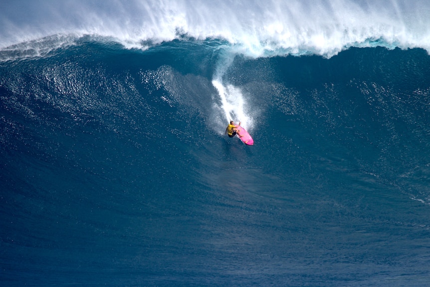 A woman on a surfboard is dwarfed by the enormous wave she is riding.