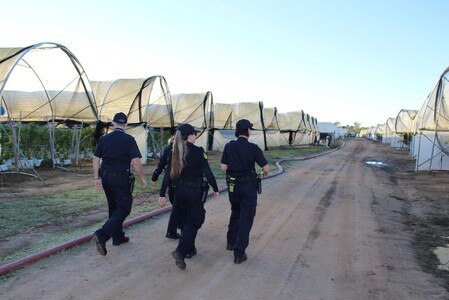 ABF Raid in a farm in Australia