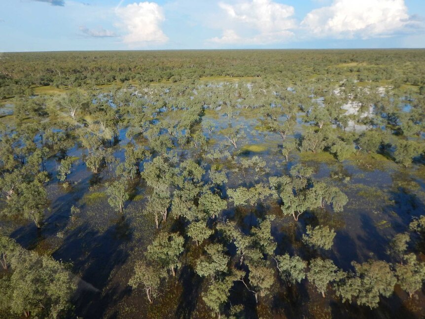 A photograph of the Beetaloo Basin in the Northern Territory