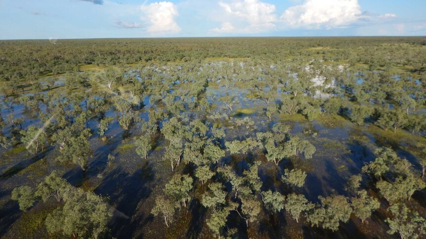 A photograph of the Beetaloo Basin in the Northern Territory
