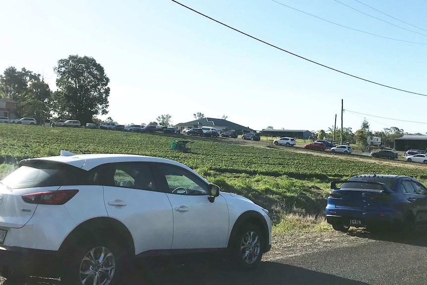 Cars on the side of a road near a green paddock.