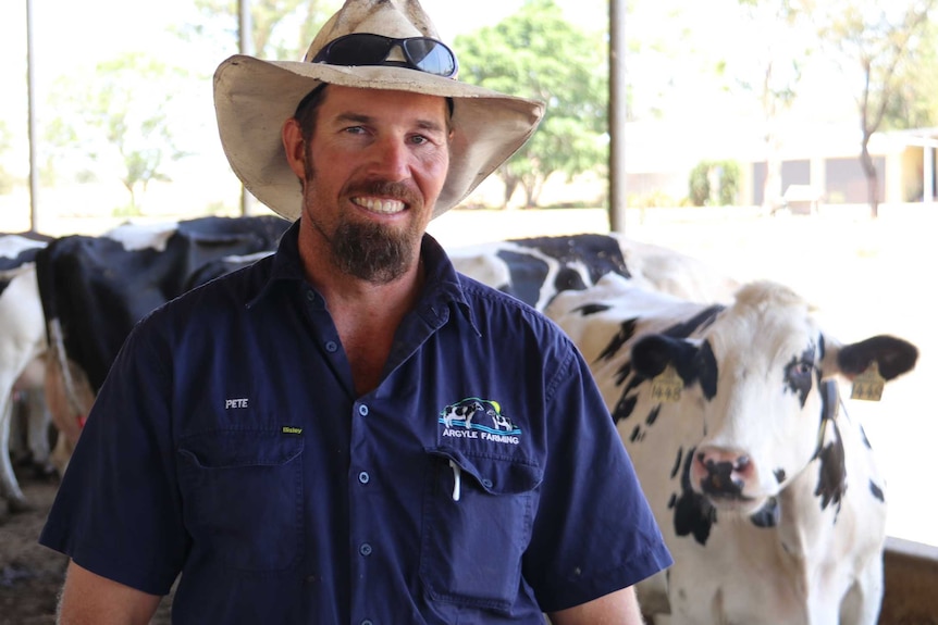 A farmer in a blue shirt and akubra hat smiles in front of cattle inside a milking shed.