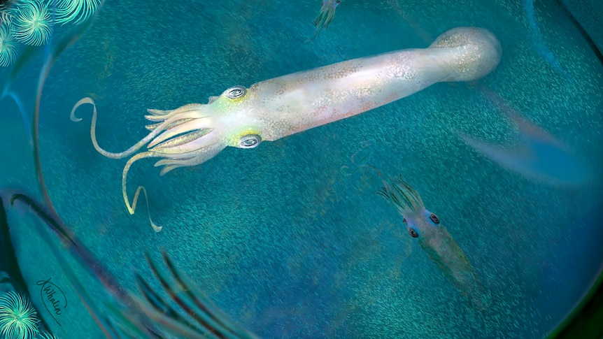 Artist's impression of Syllipsimopodi bideni