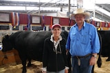 angus cattle breeders Sharon and Greg Fuller stand at Sydney Easter Show Pavillion in front of black cows