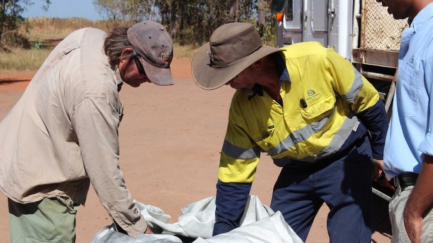 Farmers inspect a biochar sample