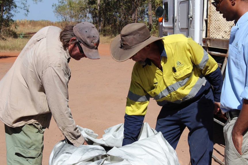 Farmers inspect a biochar sample