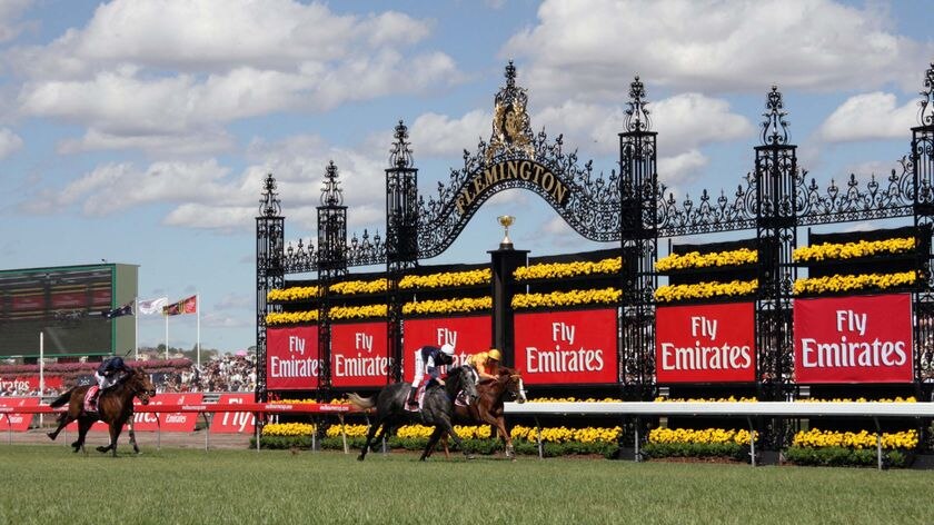 Efficient wins the 2007 Melbourne Cup