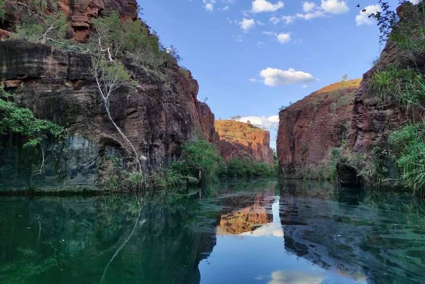 Une eau cristalline coule à travers une spectaculaire gorge de l'arrière-pays.