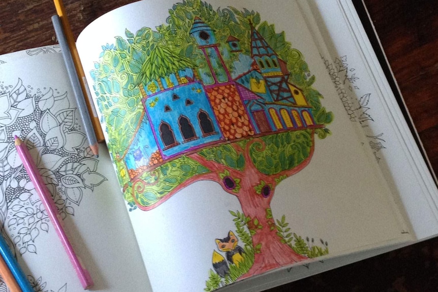 Drawing coloured in by Elaine Ford in May 2015 in The Enchanted Forest adult colouring book.