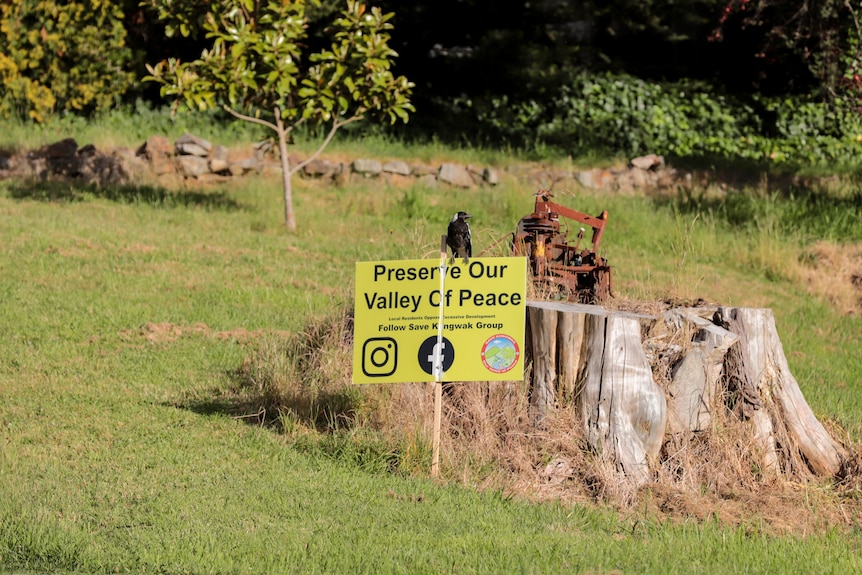 A magpie sits atop a yellow sign in  the grass next to a tree stump