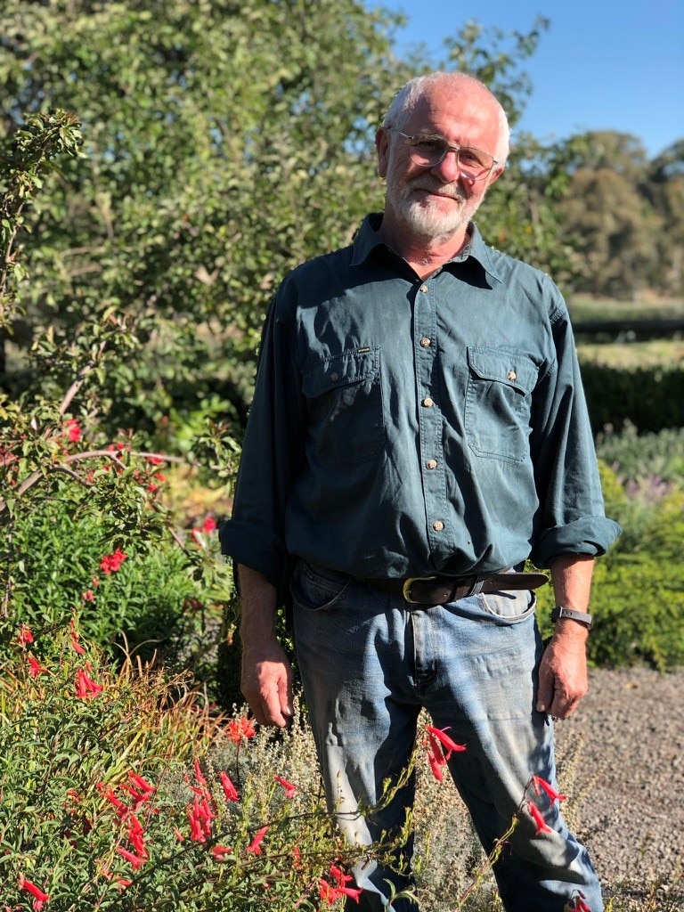 Man in green shirt standing in front of fruit trees.