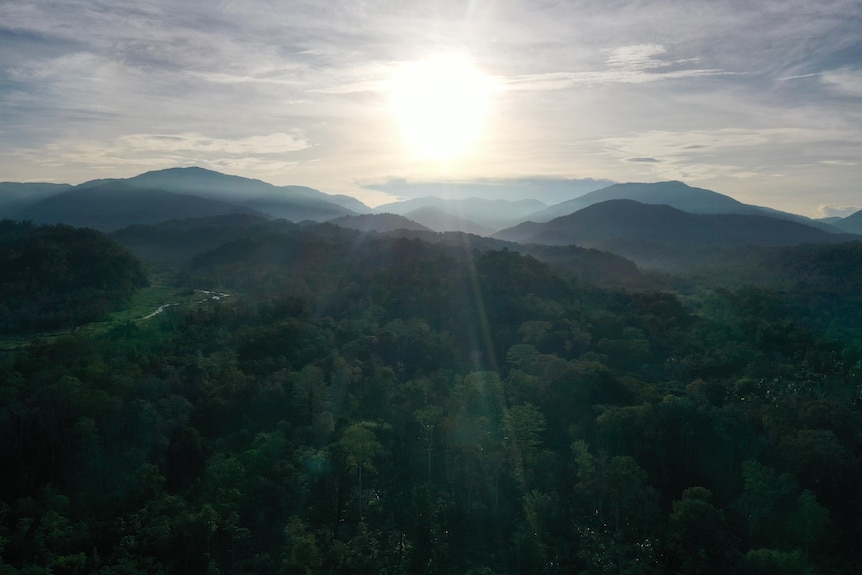 Sunshines through clouds above mountains in the distance in a drone photo of a forest.