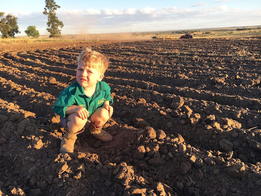 Little boy sits in the field in the country.