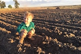 Little boy sits in the field in the country.