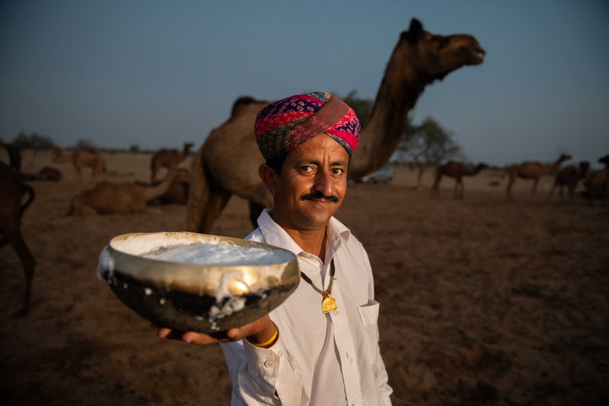 A man in a multicoloured turban holds a bowl of camel milk up to the camera.
