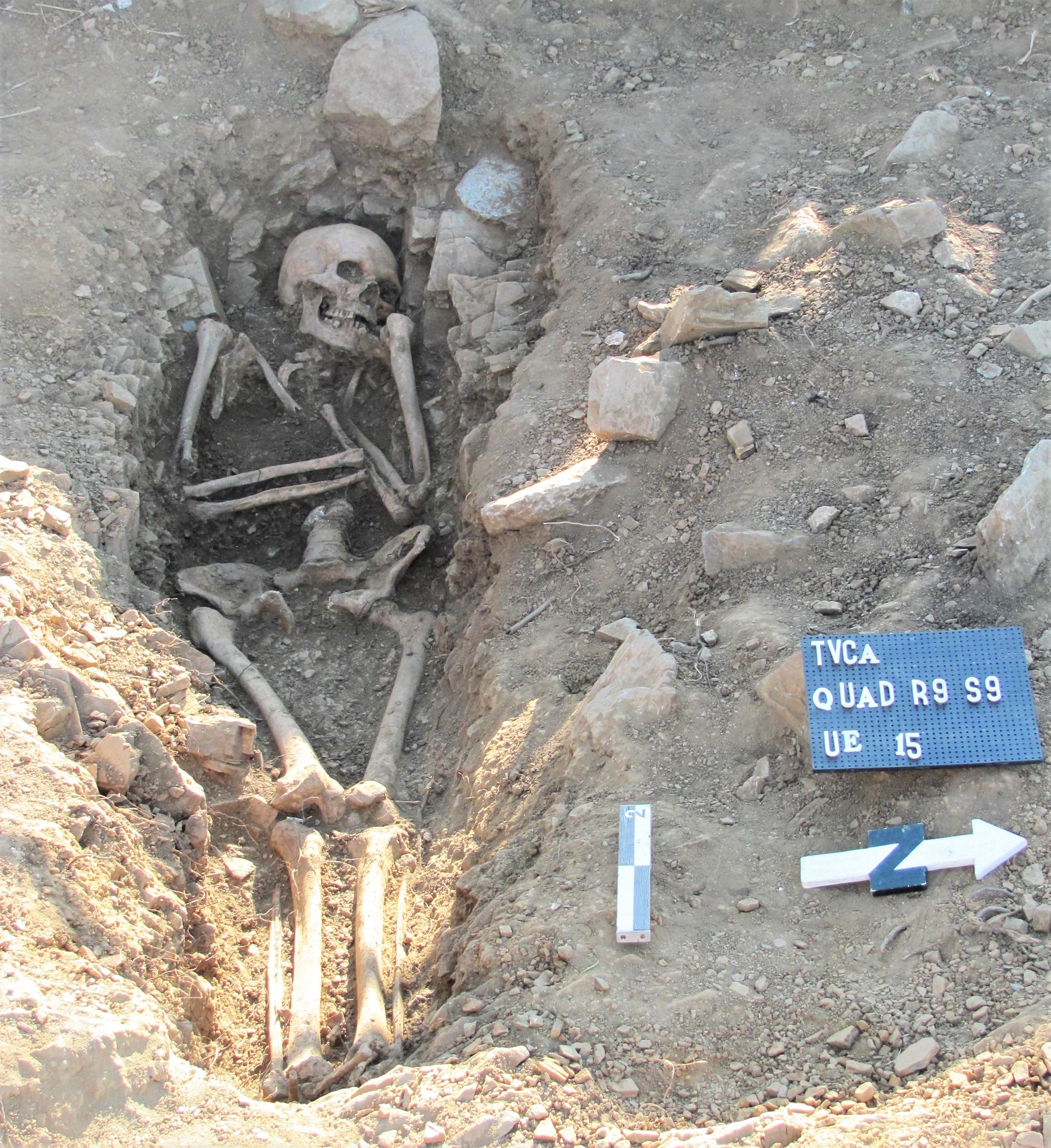 A skeleton lying in an excavated grave