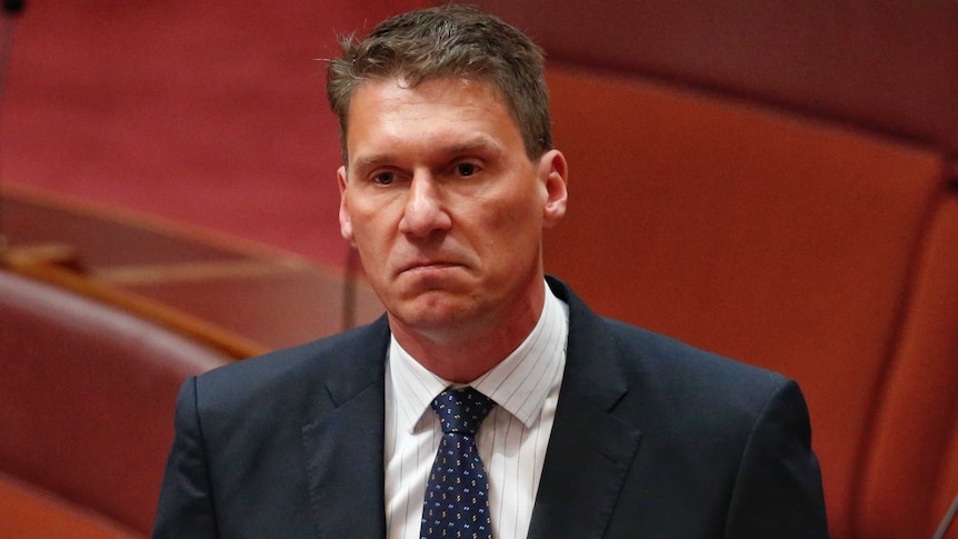 Senator Cory Bernardi in the Senate.