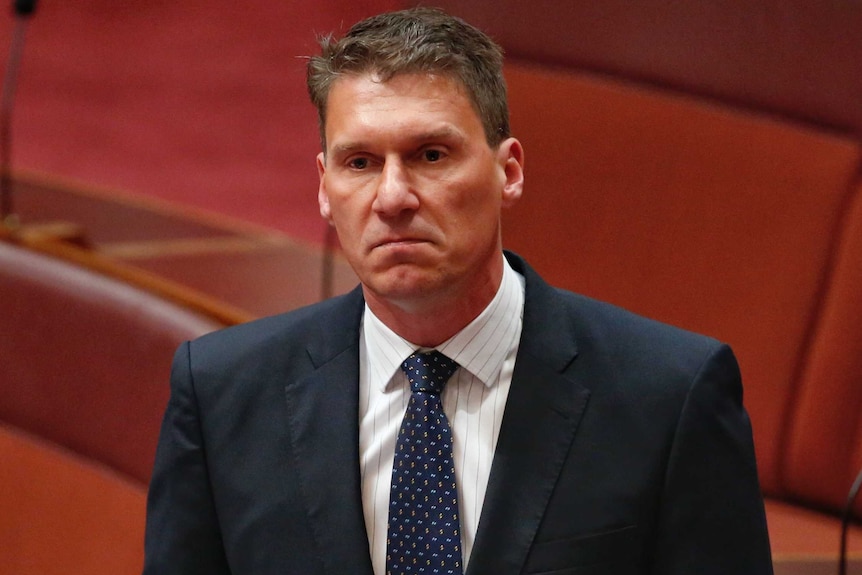 Senator Cory Bernardi in the Senate.